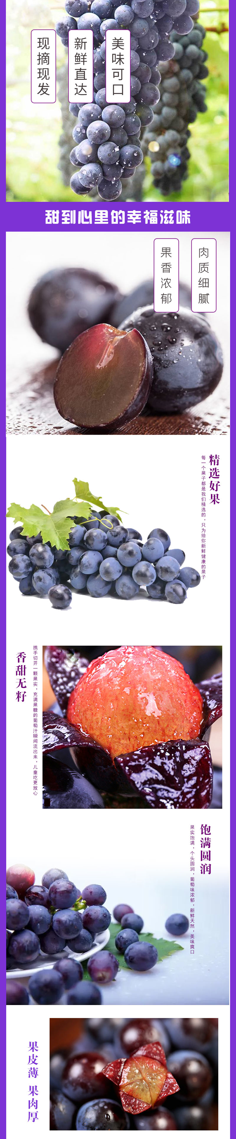 夏黑葡萄祥情页_03.jpg