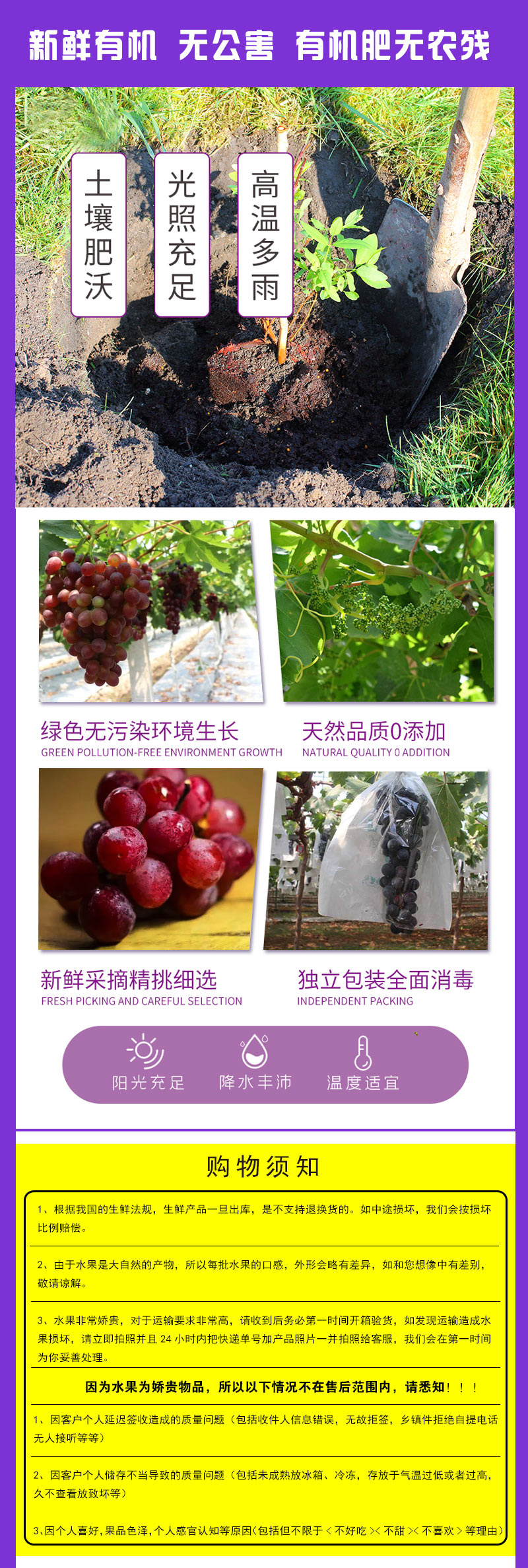 弗蕾葡萄祥情页2_04.jpg