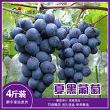 【新品上市】有机夏黑葡萄4斤装，从枝尖到舌尖、入口莹润多汁